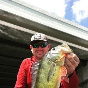 Meet your Posher, Jesse